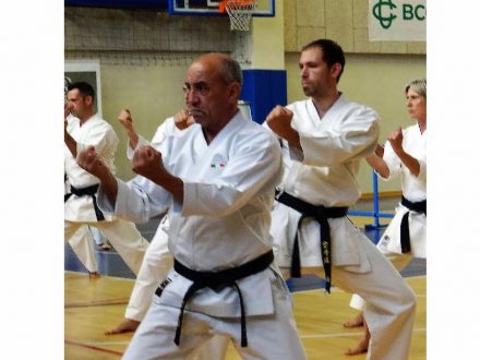 scuola di karate a milano