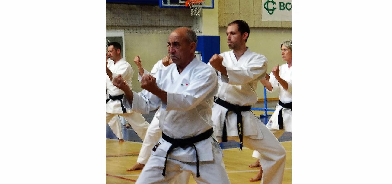scuola di karate a milano